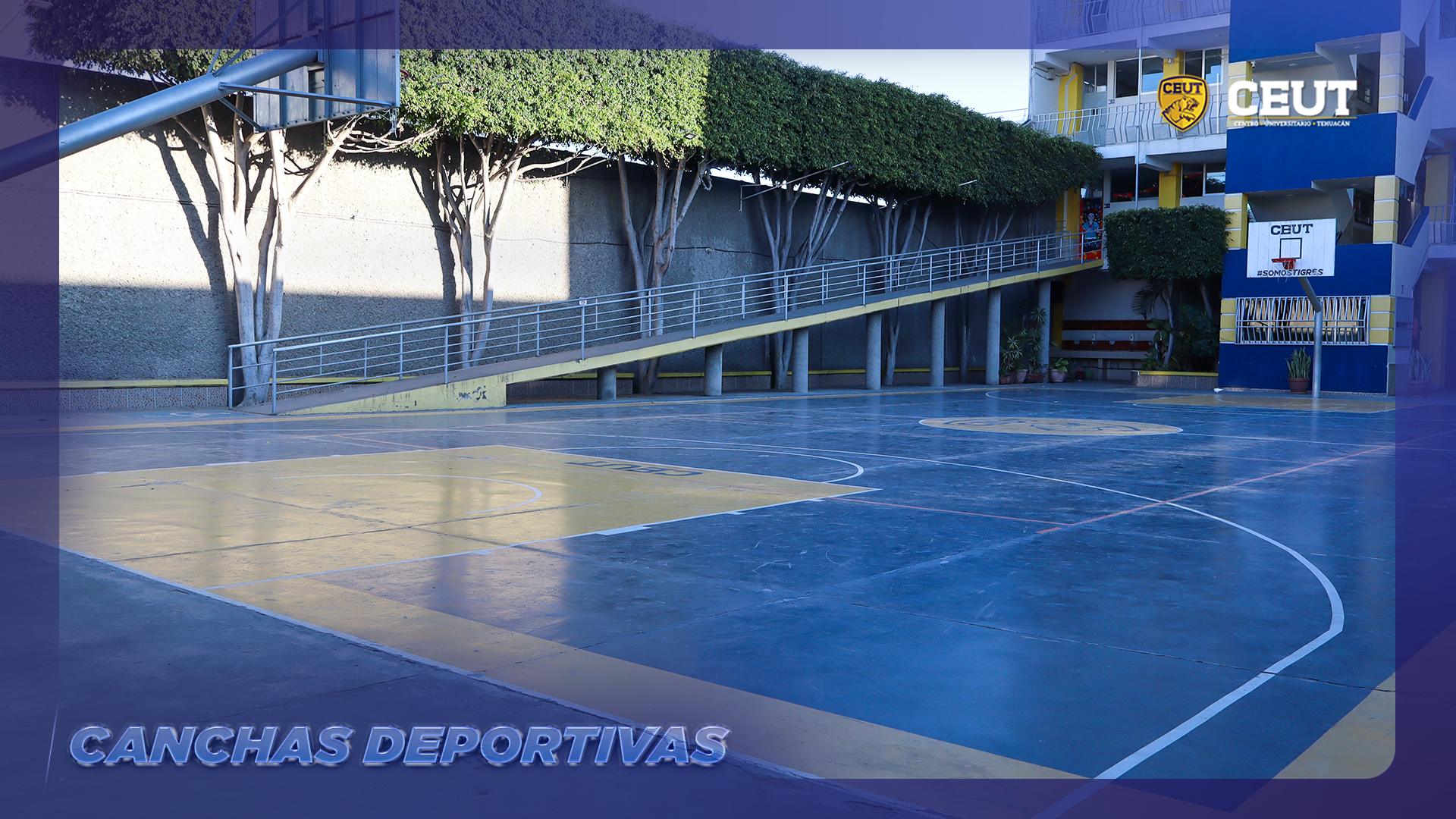 Aula Universidad 5